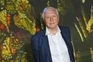 BBC Studios Global Launch Of "Planet Earth III" At Frameless - Source: Getty